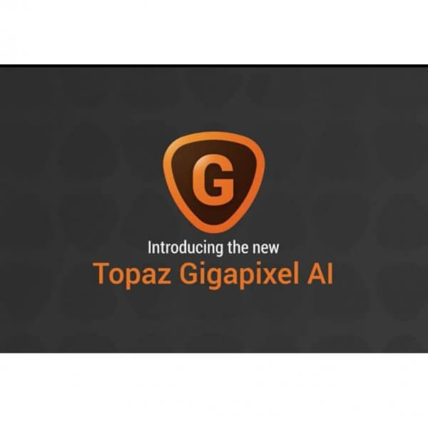 gigapixel ai review 2021