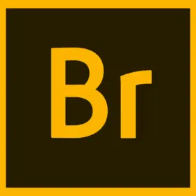 Adobe Bridge 2026 - Lifetime Activation For Windows