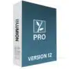 Lumion pro